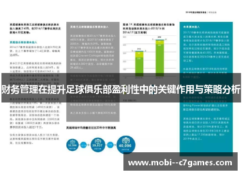 财务管理在提升足球俱乐部盈利性中的关键作用与策略分析